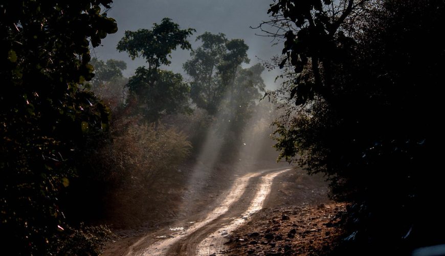 ALONG DUSTY ROADS