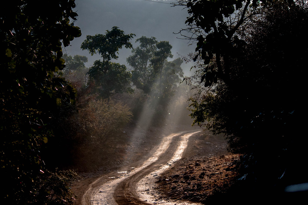 ALONG DUSTY ROADS
