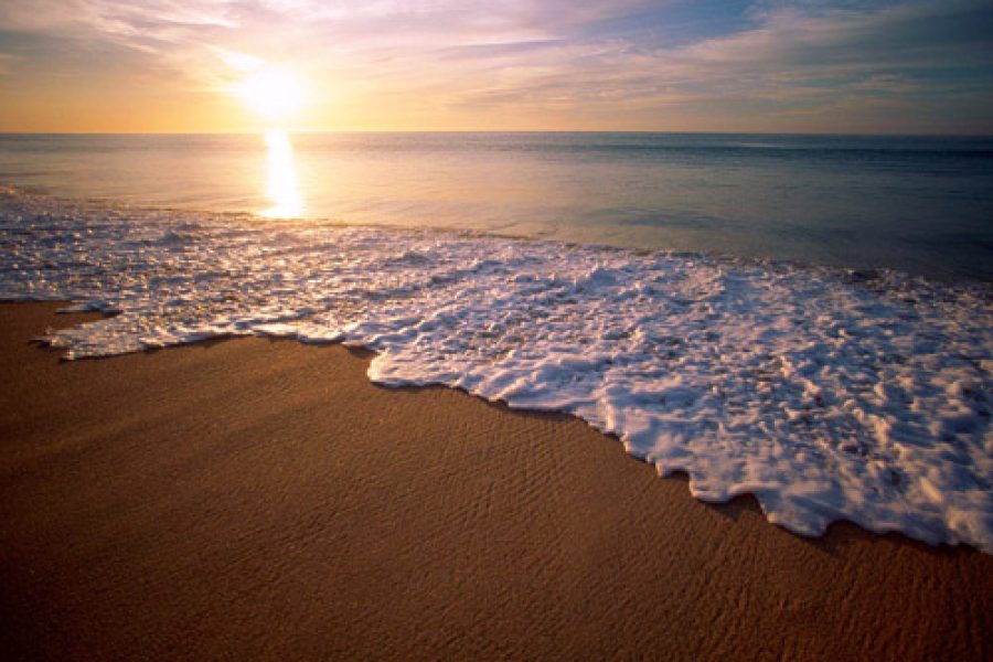 Andaman Island Bliss