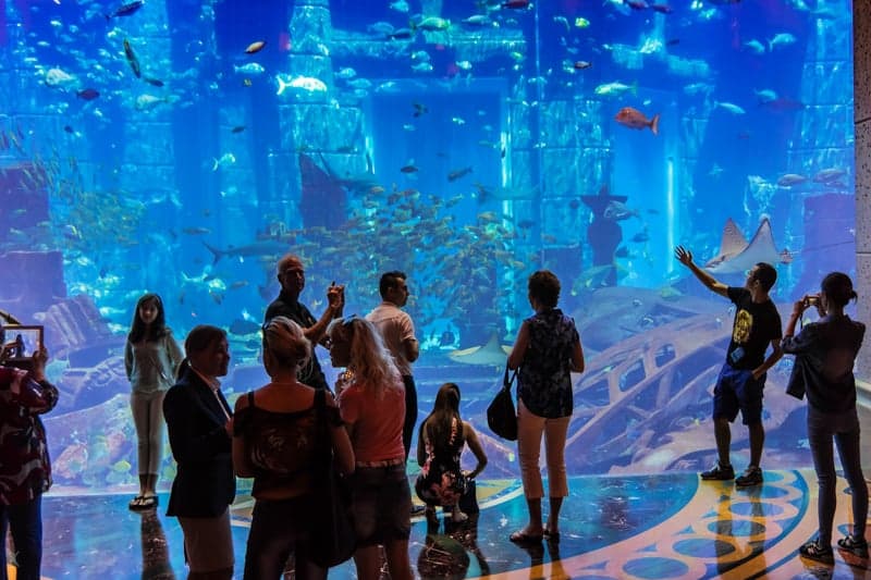 Day 05 – Atlantis Aquaventure & Lost Chambers