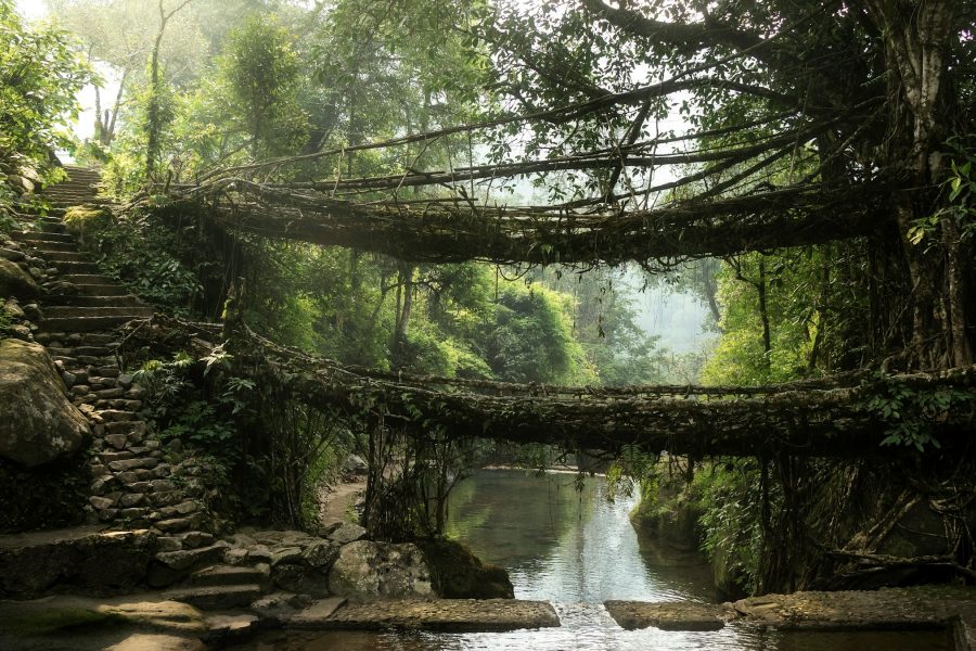 Green Meghalaya & Assam Tour