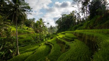 Ubud, Bali